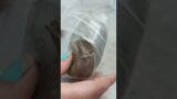 Terracotta clay for art and craft meesho review#meesho #meeshoreviews#artandcraft #ytshorts #shorts
