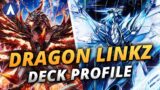 UPGRADED!!! Hina Dragon LINKZ Deck Profile & Combo Guide | Digimon Card Game EX7