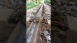 Why are you sitting up here to admire the view?#train#challenge#funny#shorts#travel
