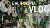 plant shop tour, plant mail unboxing & repot