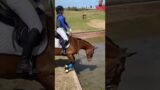 Amazing horses… #horse #horseriding #shorts #youtubeshorts #trending #viralvideo