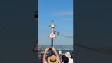 Blue Angel 4-Ship Break at Fleet Week 2024 #shorts #shortvideo #airforce #usairforce #blueangels
