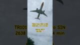 Boeing 787 at SIN. @flyscoot @changiairport #shorts #changiairport #boeing787 #aviation #planes