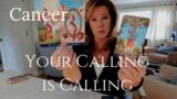 CANCER : Ancestral KARMA Is The Base Of Your Calling | November 2024 Zodiac Tarot Reading