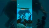 Can Humans REALLY Swim Like Animals? #animals #humanity #swimming #viralshort #trending #shorts