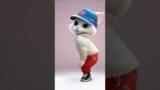 Cat drama troublemaker Dance DJ  | Funny cat