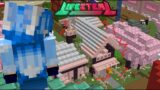 Collateral Damage | Lifesteal SMP ******