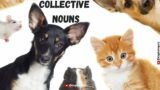 Collective Nouns | List of Collective Nouns |50 Examples of Collective Nouns #englishvocabulary