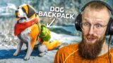 DOG BACKPACKS AND OTHER EQUIPMENT COMING SOON! – Last Day on Earth: Survival