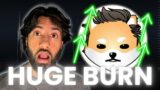 DOGELON MARS TO $1 BILLION MC? HUGE BURN UPDATE!
