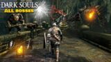 Dark Souls Remastered – Against all Odds