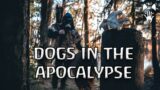 Dogs and Humans in the Apocalypse: popular media and hunter-gatherer science | Ethnocynology #4