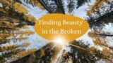 Finding Beauty in the Broken