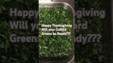 Happy Thanksgiving.   Will your Collard Greens be Ready???   #youtube #song #fantasia #collardgreens