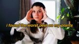 I HAVE THRIPS!! UGH!! | pest treatment & plant care vlog