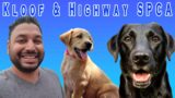 I Visited A Dog Adoption and Rescue Center