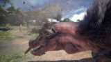 [ID/ENG] mhw till loyo~