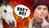 Letting My Horses Control My Life For a Day! – CHAOS edition – This Esme