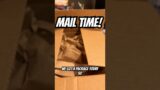 MAIL TIME! Check out what we got plus a pack opening!