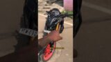 MT 15 fork aluminum pieces got broken | #mt15 #r15v3 #r15v4
