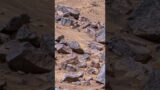 Mysterious Structures on Mars #marslatestvideo #shorts