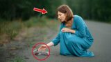Passerby Saves Lifeless Kitten with CPR, Reviving It Against All Odds