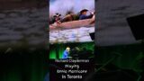 Richard Clayderman live playing Ennio Morricone in Toronto 2024