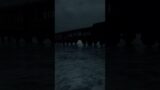 The Polar Express… #shorts