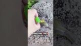 The kind man saved a helpless baby bird that had lost its mother #rescue #birds