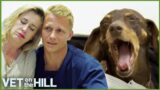 Vet On The Hill Marathon – 4 Hours of Nonstop Episodes!
