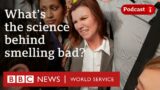 Why do armpits smell? – CrowdScience podcast, BBC World Service
