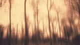 november is here. (ambient playlist)