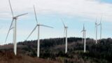 ‘The plague’: Planned renewables infrastructure rollout slammed