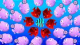 Cold-Blooded Vicious Monster – Fishdom New Ads Mini Games – Hungry Fish Game Part 156 Gameplay