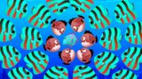 Cold-Blooded Vicious Monster – Fishdom New Ads Mini Games – Hungry Fish Game Part 158 Gameplay