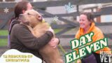 600 dogs waiting to come into rescue this Christmas | DAY 11: 12 RESCUES OF CHRISTMAS with Dr Scott
