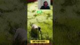 Ahhhhh bears! HumanitZ 0.915 update. #humanitz #survivalgame #craftinggames