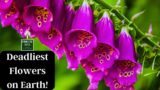 Deadliest Flowers on Earth