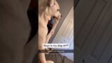 Dogs being idiots part 9 #funny #cutegolden #pets #lovegoldens #funnypets #petvideos #pets #petvideo