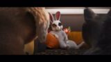 Gracie and Pedro Pets To The Rescue Trailer Slow Motion 2x