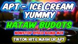 HATAW BUDOTS – APT – CHAENG JUMP – ICE CREAM YUMMY – TIKTOK HITS – NONSTOP BOMB MIX – DISCO TRAXX