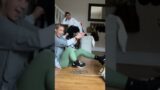 HEROOOO #subscribe #funny #trending #plz #animals #dog