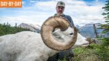 Heartbreak and Triumph | NWT Dall Sheep and Caribou Day-by-Day (EP.6)