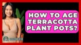 How To Age Terracotta Plant Pots? – Style Your Decor