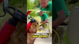 How a Sandal Taught Lions to Behave | #wholesome #humanity #viralvideo