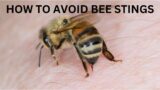 How to avoid bee stings