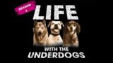 LIFE WITH THE UNDERDOGS – Kyle to the Rescue! (Season 3/Episode 1) (FREE PREMIERE)