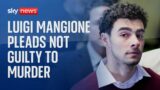 Luigi Mangione pleads not guilty to murder and terror charges over healthcare CEO's killing