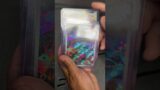 Mail Time! More Hot Pokemon Holofoil Cards Have Arrived