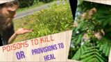 Poisons to Kill or Provisions to Heal?